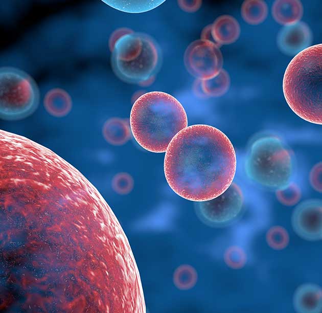 Cellular and Gene Therapy solutions